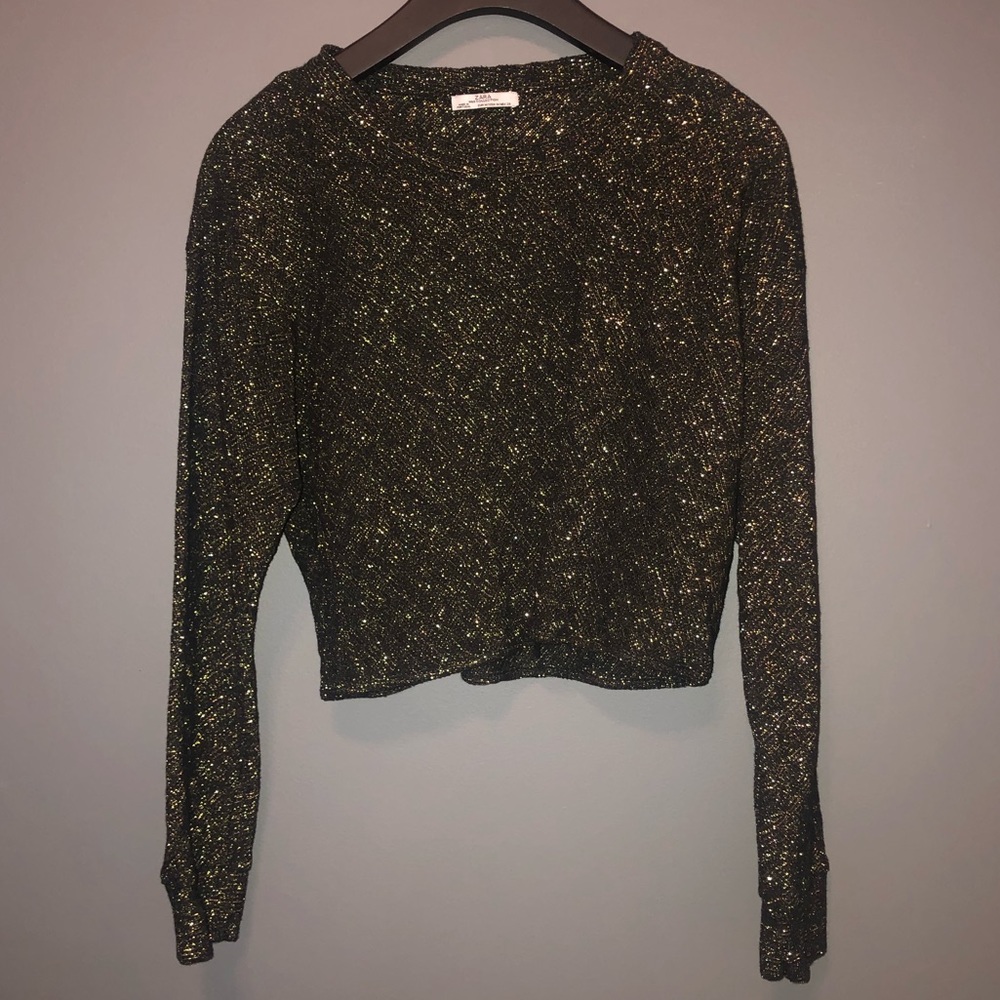 Zara Long Sleeve Sparkly Crop Top